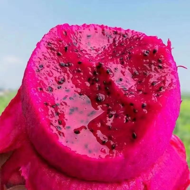 Guangxi Red Dragon Fruit Domestic 2kg 3kg 2.5kg Fresh Fruit Freshly Picked Red Dragon Fruit One Piece Generation