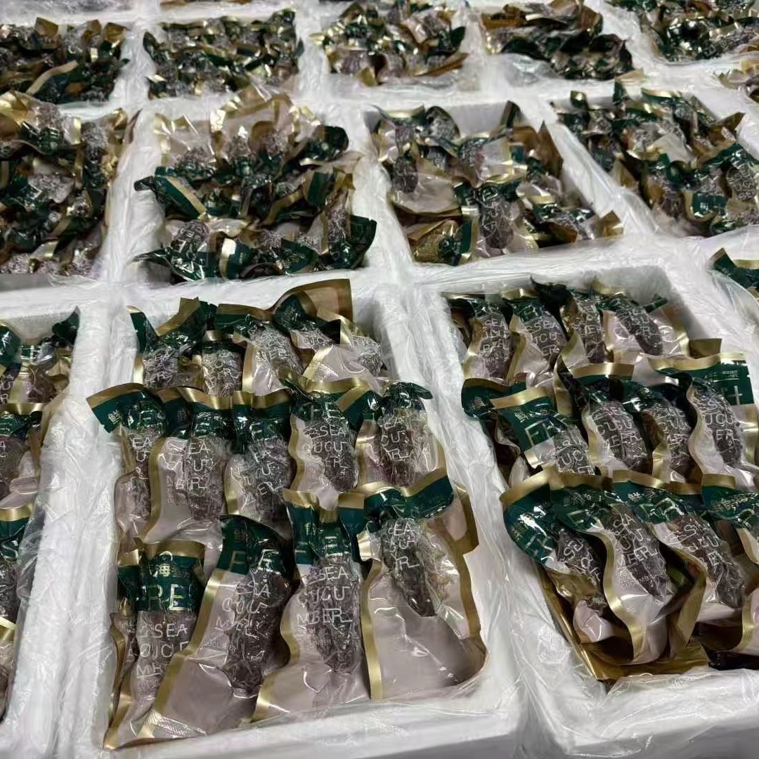 Dalian Ready-To-Eat Sea Cucumber Fresh Bottom-Cultured Liaoning Sea Cucumber Individually Packaged Non-Lightly Dried Sea Cucumber Wholesale Factory