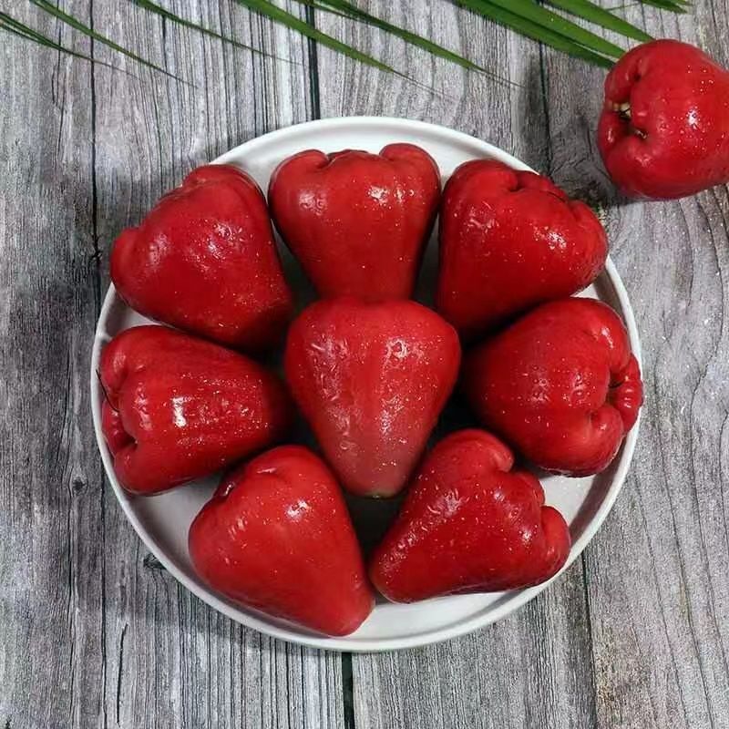 Hainan Lotus Mist Seasonal Fresh Fruit Black Pearl Mist Lotus Fruit Ruby ​​Wholesale Whole Box Fruit for Pregnant Women Free Shipping