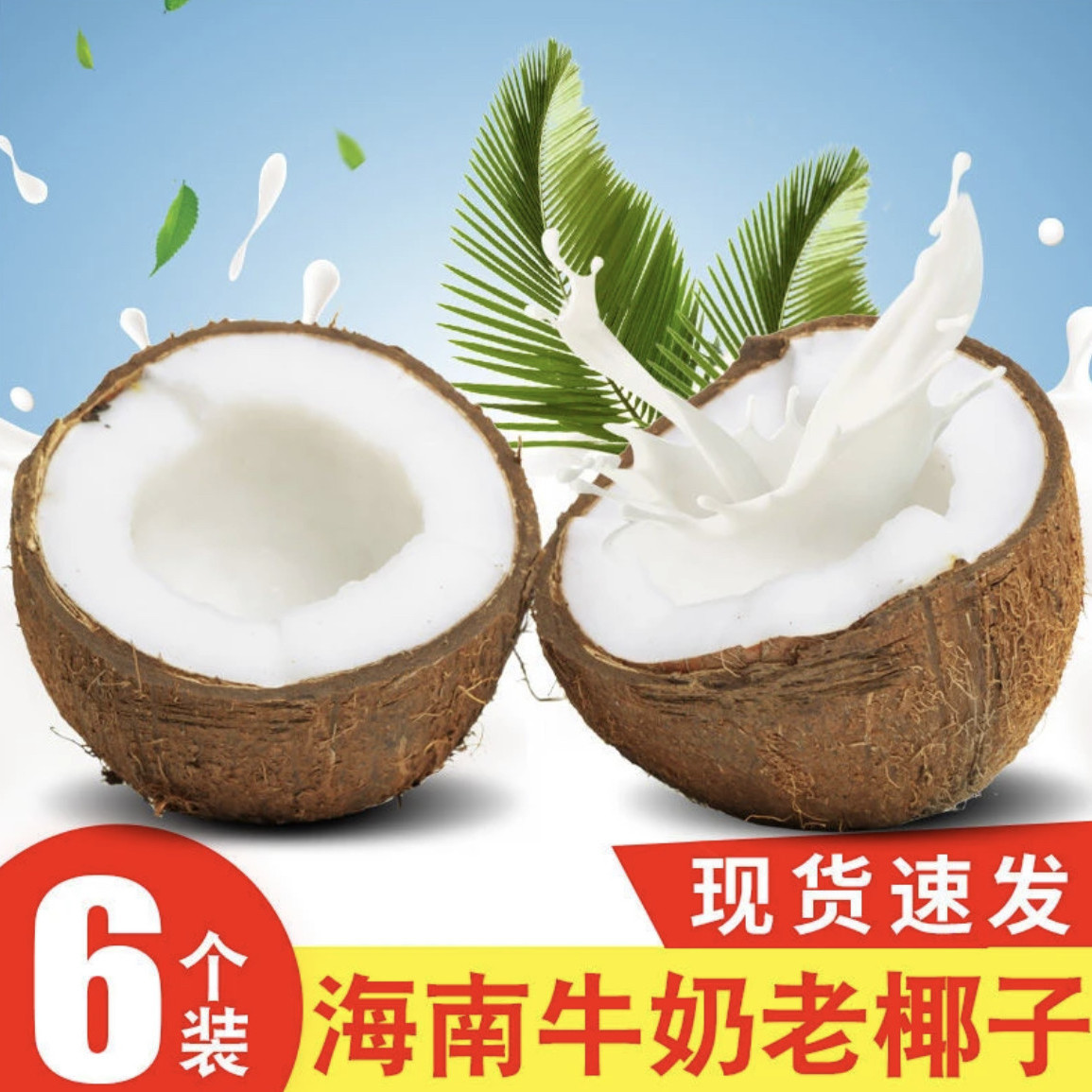 Hainan Old Coconut Seasonal Fresh Coconut Hair Coconut Pregnant Women Fruit Squeezed Coconut Juice Coconut Meat Soup Peel Coconut Coconut King