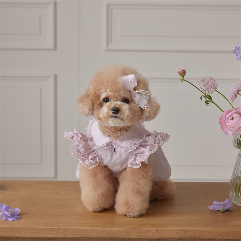 Pet Clothes for Dogs and Cats, Autumn and Winter Lace Flying Sleeves, Lady Dress Manufacturer, Small Teddy Bears
