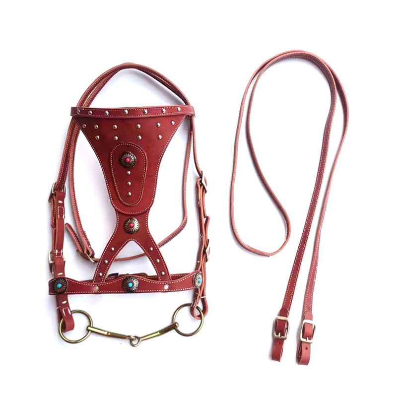 Horse Harness with Pure Cowhide Reins, Horse Leash, Horse Gear, Horse Tie, Horse Equipment, New Dragon Set with Metal Buckle, Elegant