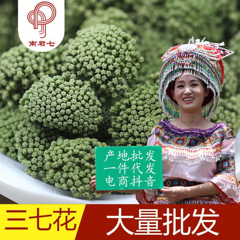 Цветы панакса нотогинсенга 2-4 года оптовая продажа