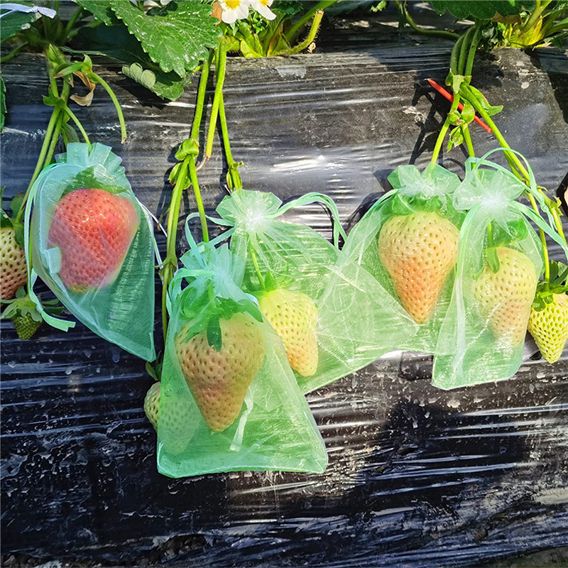 Fruit Bagging Wholesale Orchard Drawstring Grape Bagging Special Dragon Fruit Peach Fig Anti-Bird and Insect-Proof Mesh Bag