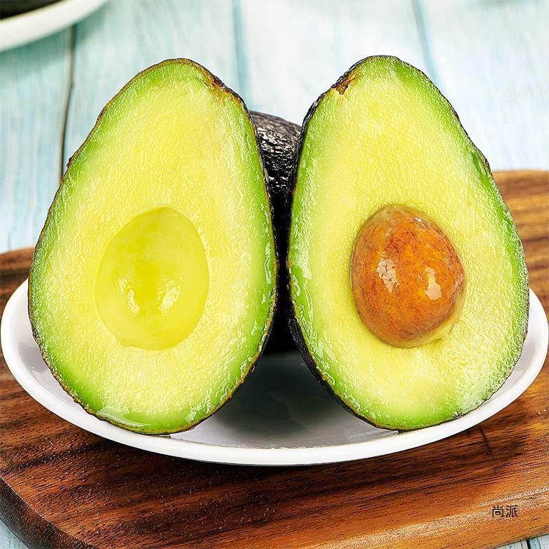 Jumbo Big Fruit Peruvian Avocado Seasonal Fresh Fruit Free Shipping Direct from Factory Wholesale
