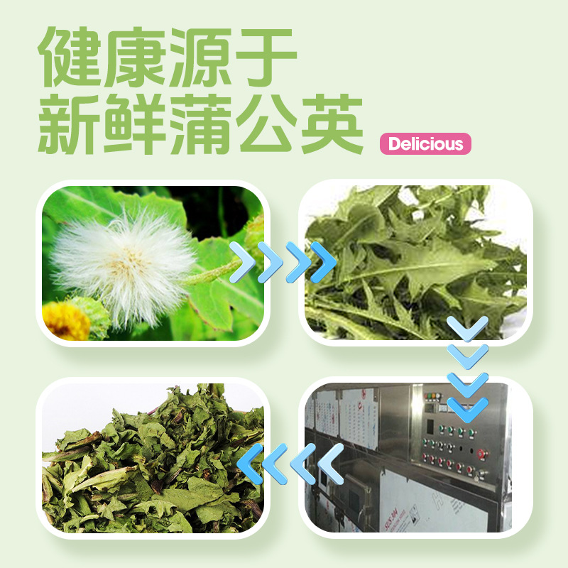 Pet Shangtian Clearing Heat Dandelion Rabbit Grass Guinea Pig Totoro Hamster Summer Food Feed Nutritional Snacks