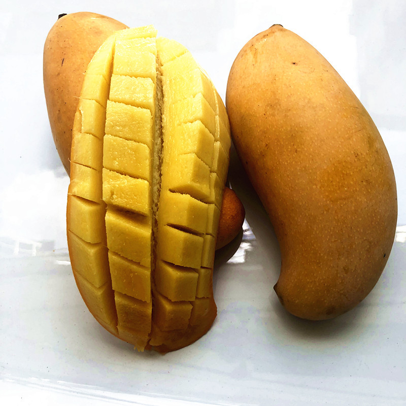 Fruit Mango Honey Mango with Yellow Skin, Not from Guangxi Baise, with a Rich Milky Aroma, Freshly Picked, Golden Color, Sugar Content 27