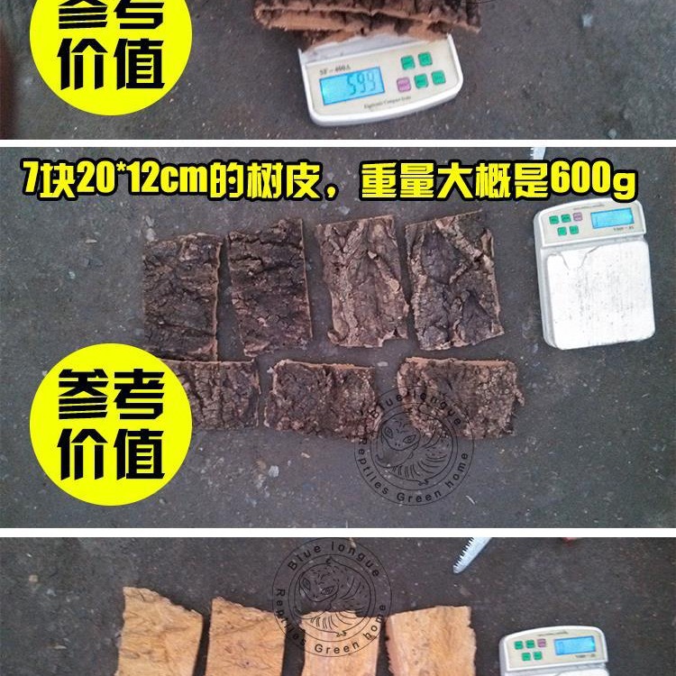 Champagne Bark Acrylic Reptile Feeding Box Feeding Box Landscape Lizard Pet Fire Rose Spider Escape Climbing