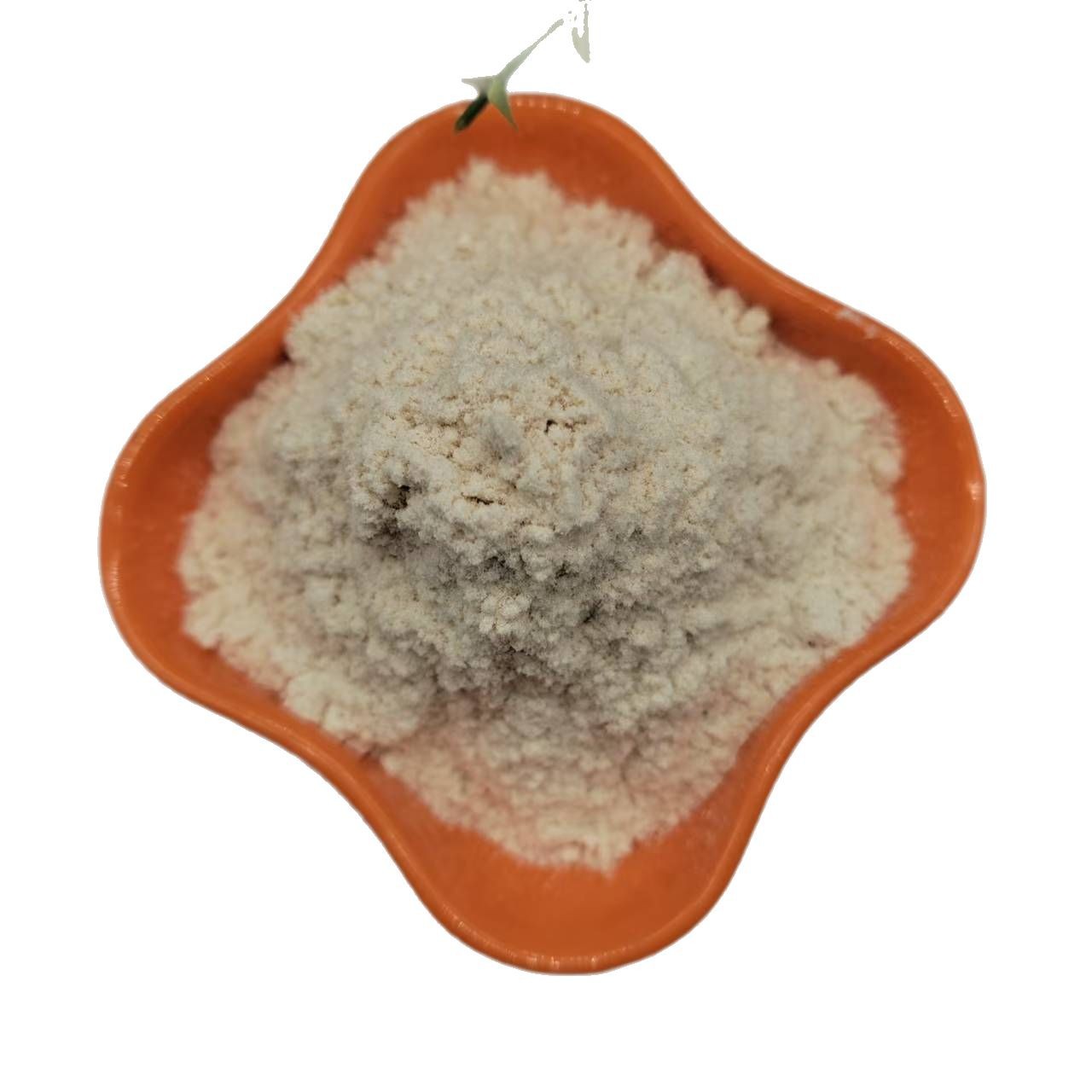 Large Supply of Wood Powder for Paper Making, Poplar Wood Powder for Incense Making, Pine Wood Powder for Repairing Furniture Cracks, Oil Field Additives