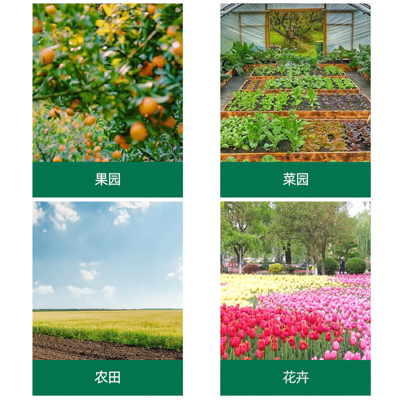 Anti-Hail Net Anti-Bird Net for Fruit Trees, Vegetables and Flowers in Agricultural Greenhouse Thickened Anti-Ageing Anti-Hail Net