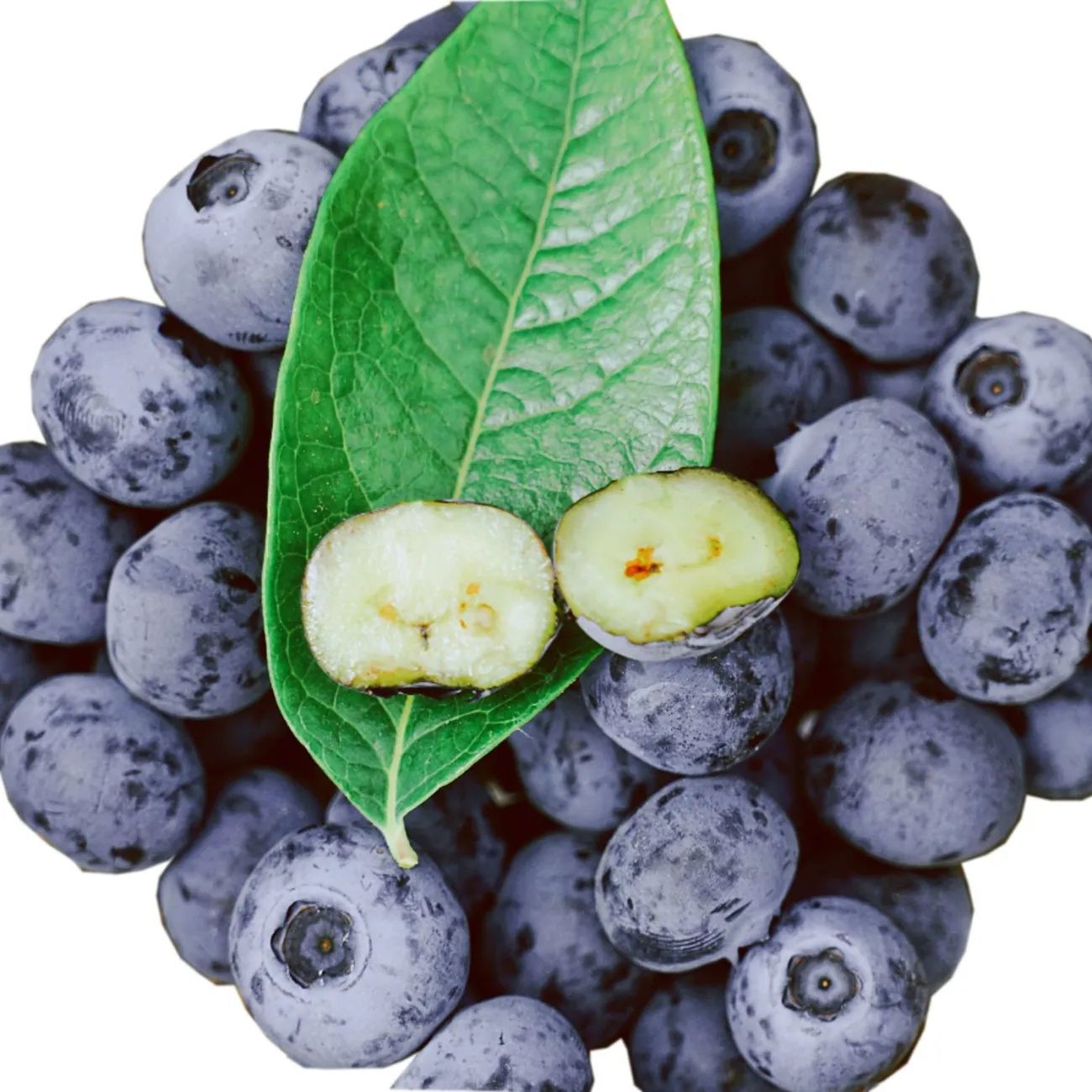 Shandong Blueberry Fresh Fruit Fresh Seasonal Fruit 125g Sf Free Shipping Seasonal Blue Plum Drop Shipping