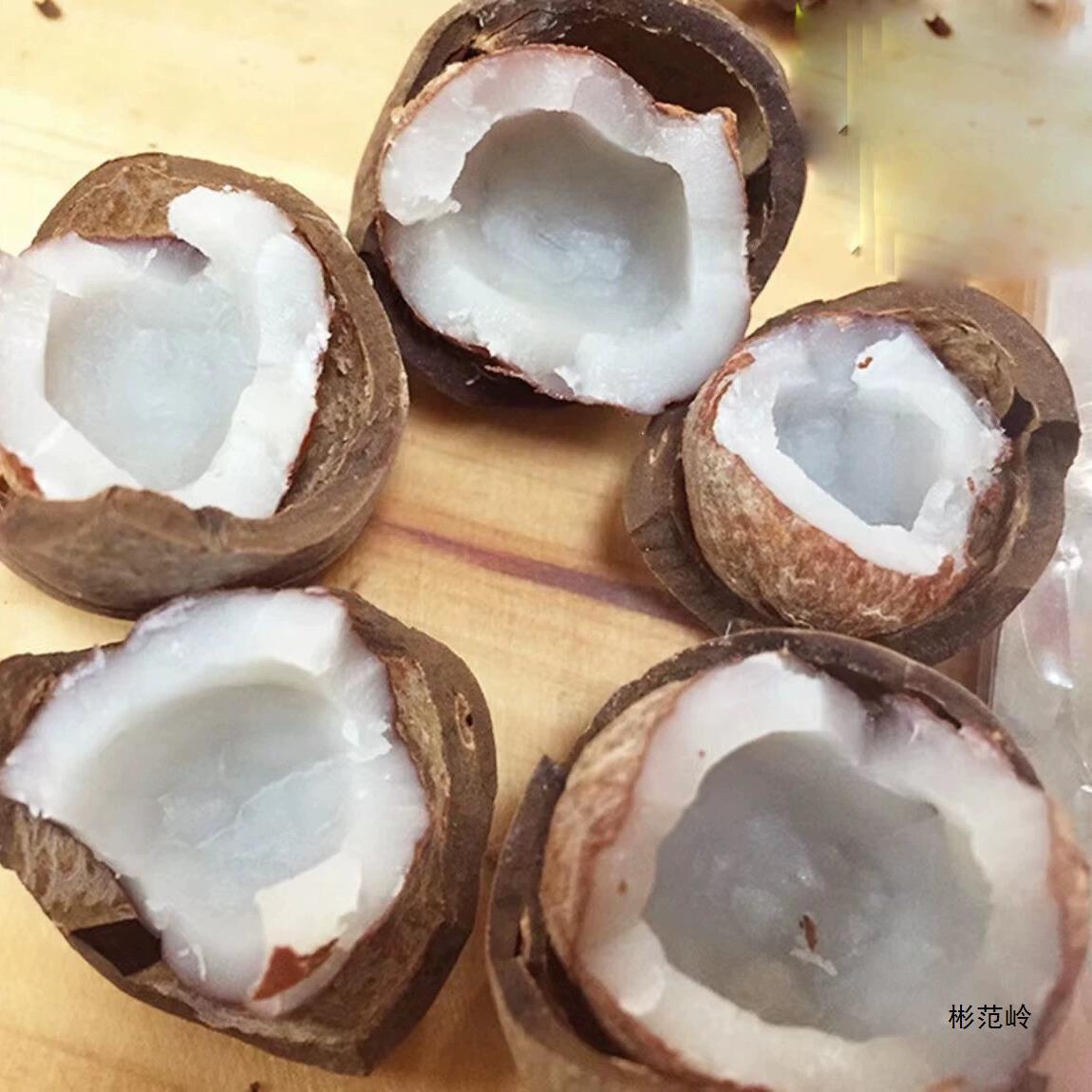 Mini Fresh Coconut Royal for Hot Pot Soup, Small Coconut Chicken Soup for Commercial and Home Use
