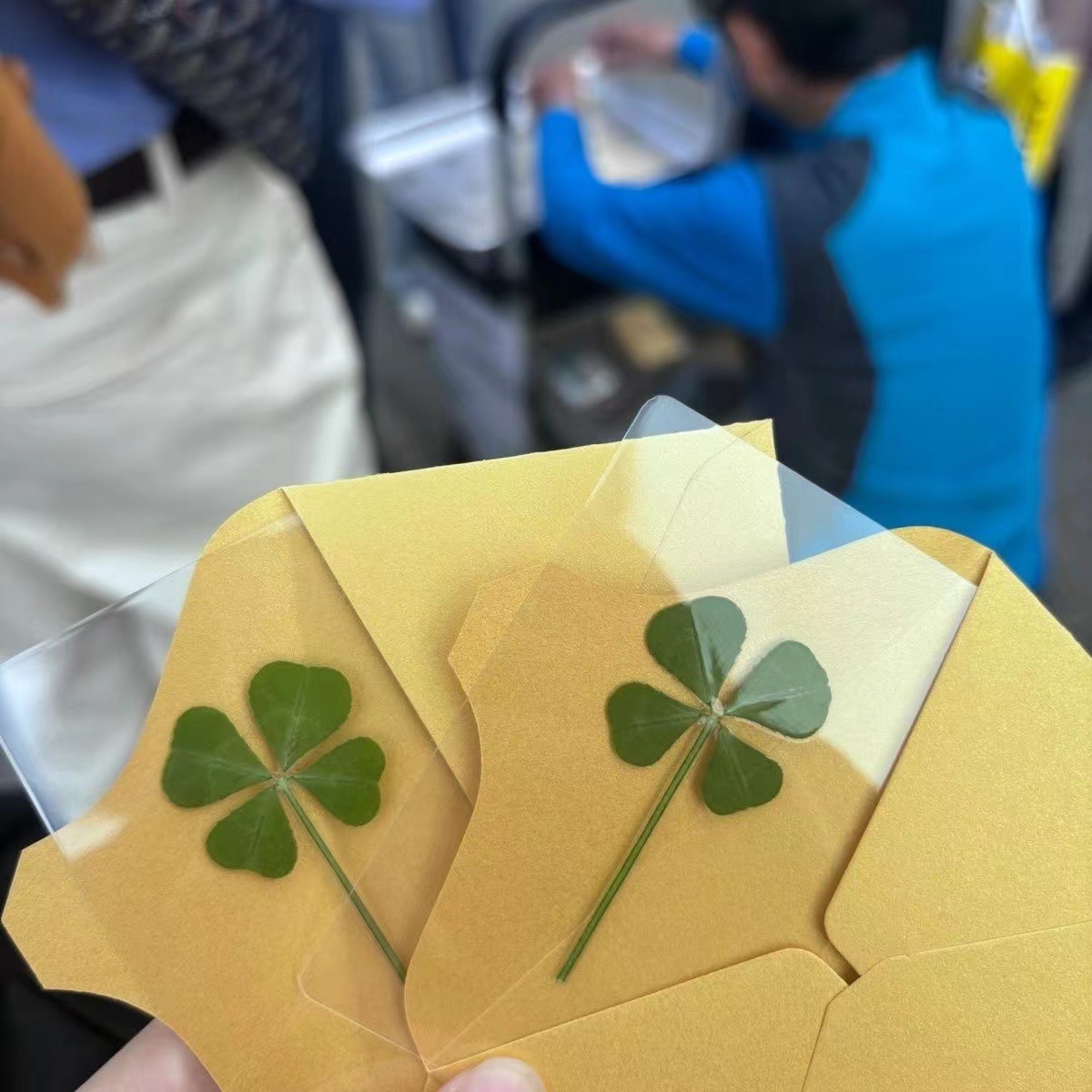 Cute Lucky Four-leaf Clover Natural Raw Grass Transparent Card New Bookmark Wishing Cure Fresh Simple Style Transparent Card