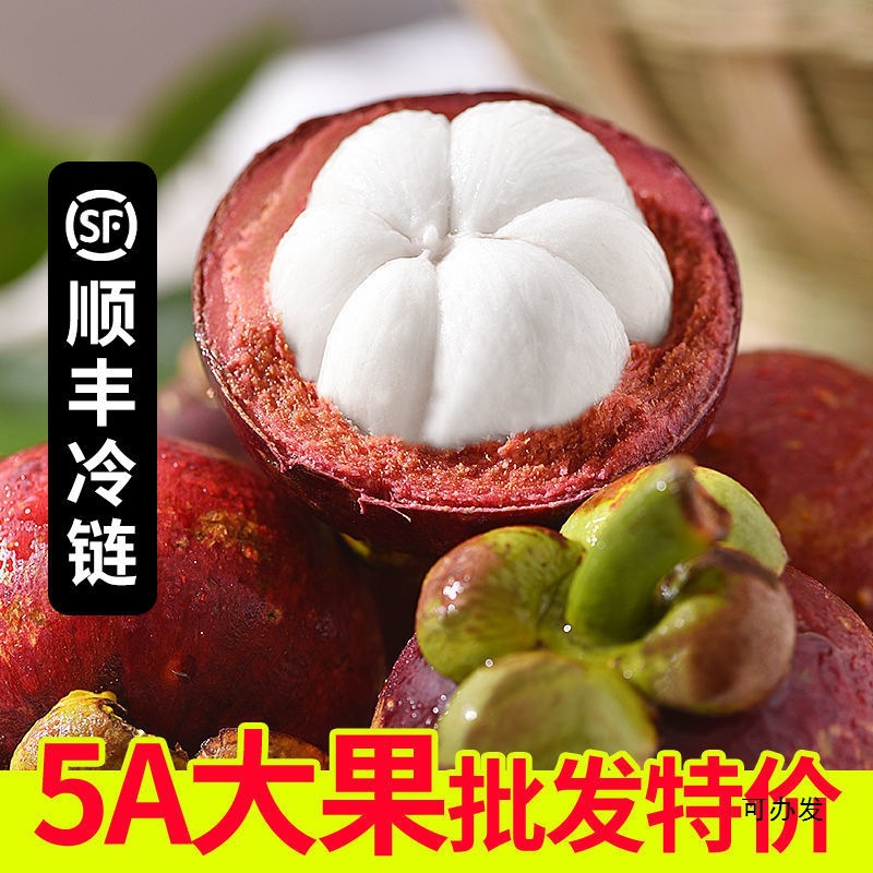 Свежий мангостин, холодная цепь, 0.5кг-2.5кг, сезонные большие фрукты, оптовая продажа