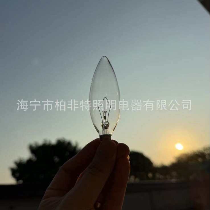 Factory supply C35 incandescent bulb/C32 candle bulb/C32 small pull tail light string salt lamp American 110VE12