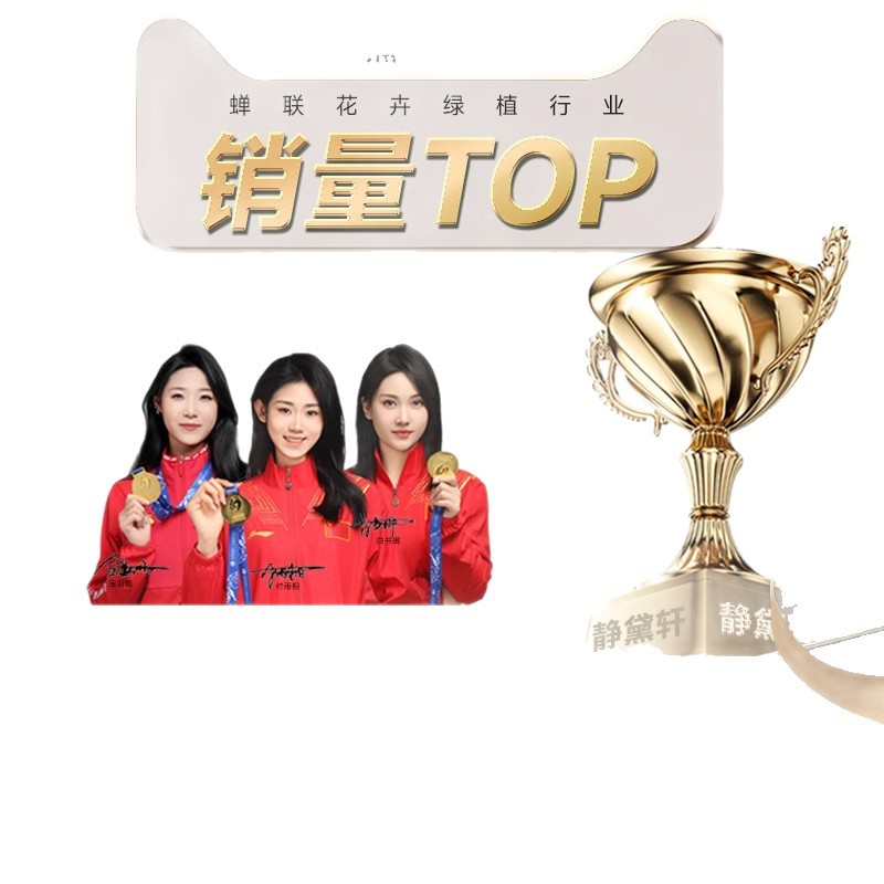 Camellia Potted Saplings with Buds, Five-Color Red Flowers, Bloom All Seasons, Indoor Plants, Easy to Care for on the Balcony