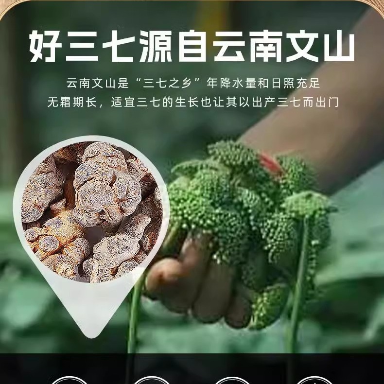 100g bottled 500 mesh fine powder easy to absorb Wenshan Sanqi powder source factory a generation of fast