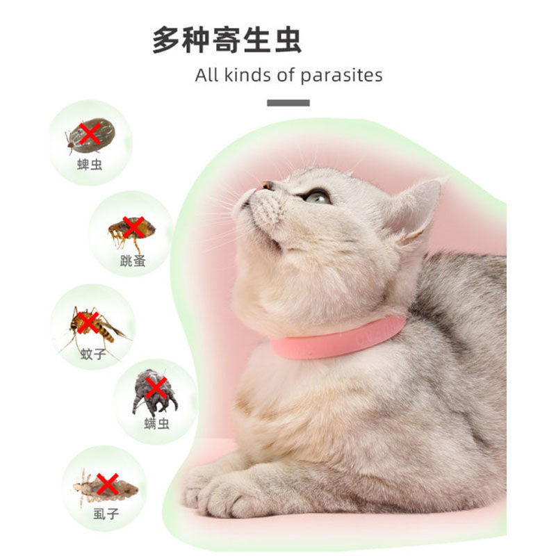 Double Eleven Promotion Activity Pet Flea Removal Collar Dog Cat Collar Single Bell Collar Cat Buckle Collar Explosions
