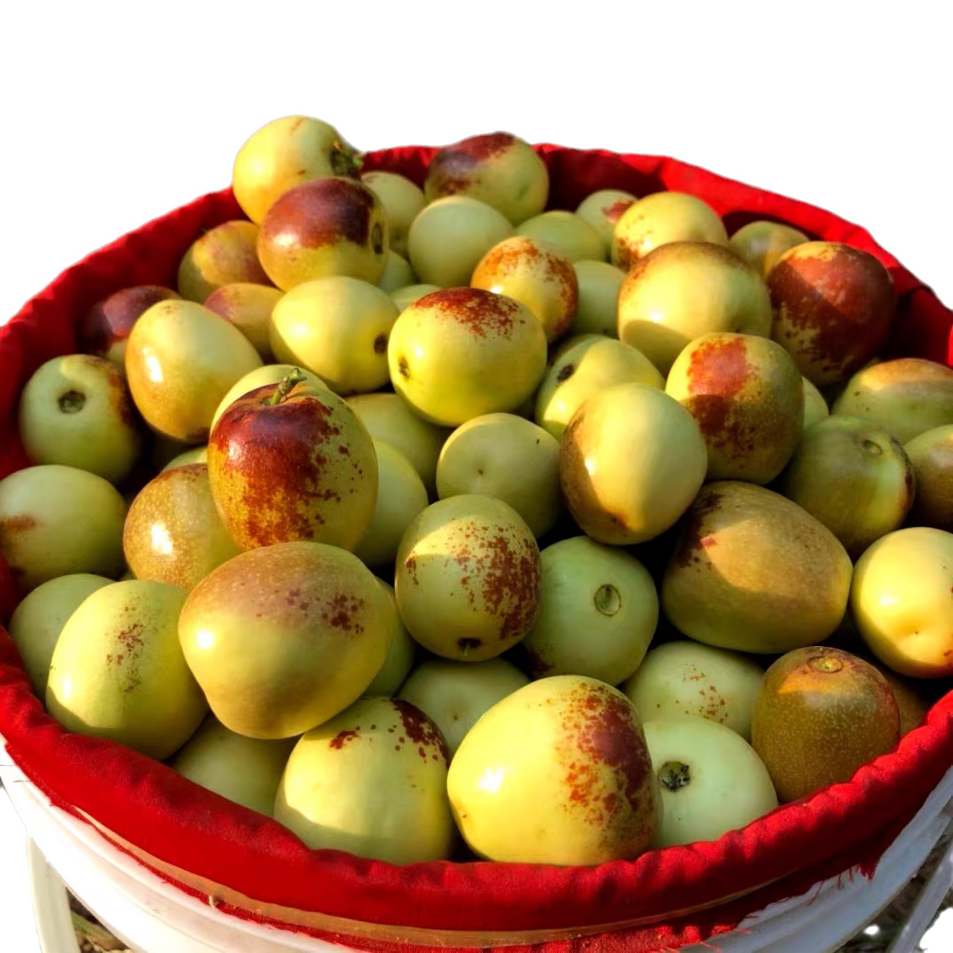 Zhanhua Winter Jujubes, Fresh Jujubes, Freshly Picked Large Fruits, Crisp and Sweet, Rock Sugar Green Red Dates, Premium Quality 2.5kg Fresh Crisp Dates, Large Fruits