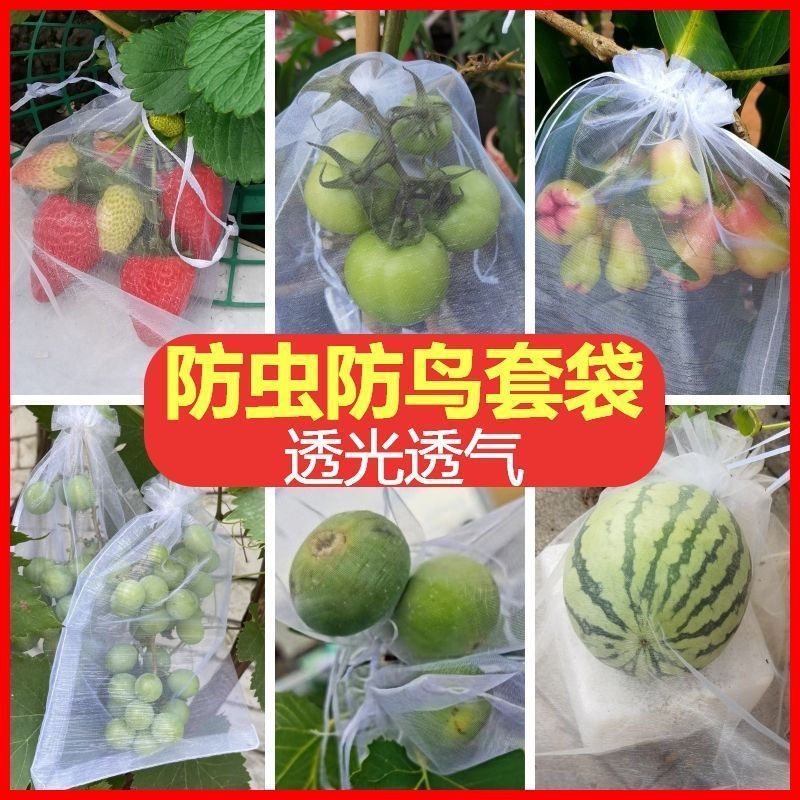 [Free Shipping] Fruit Grape Bagging, Insect-Proof and Bird-Proof White Gauze Bag, Breathable and Fruit Fly-Proof Bag for Loquat Fruit Trees