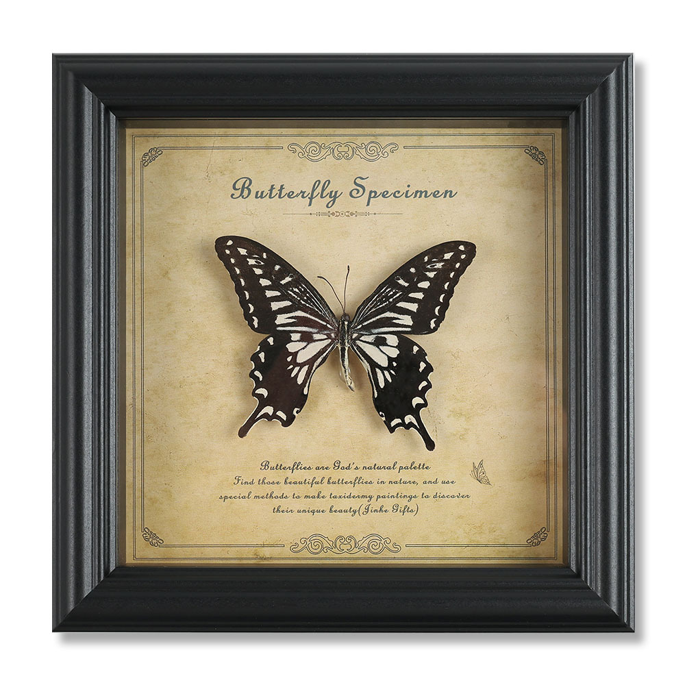 True Butterfly Specimen Photo Frame High-end Wooden Decorative Painting Home Decoration European Style Retro Photo Frame Table Birthday Gift