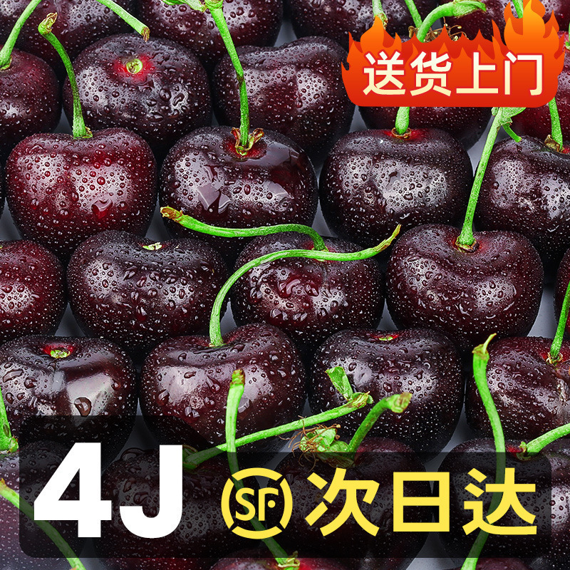 Chilean Large Fresh Imported Cherries Seasonal Cherries 2.5kg Whole Box 4J3 Gift Box for Pregnant Women Free Shipping