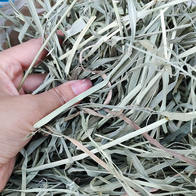 Free Shipping Sun-Dried Timothy Grass Dried Timothy Grass Rabbit Grass Chinchilla Guinea Pig Timothy Grass Segments