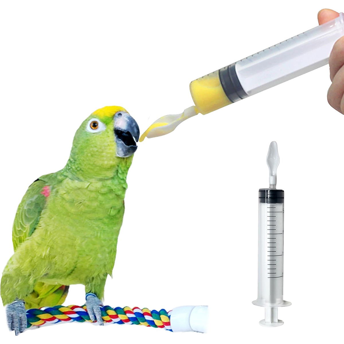 Специальная ложка для кормления попугаев, инструмент для шприца, игла для молочной смеси для птенцов попугаев
