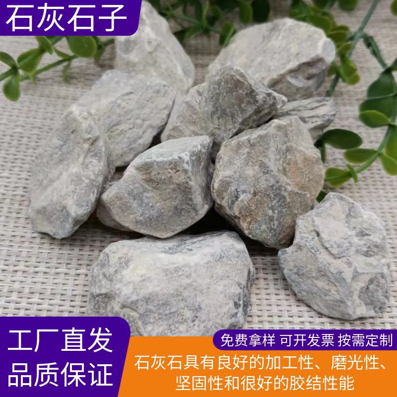 Ready Supply of High-Calcium Lime Stone Power Plant Desulfurization Water Area Marble Lime Stone Powder Construction Engineering Sub-High Purity
