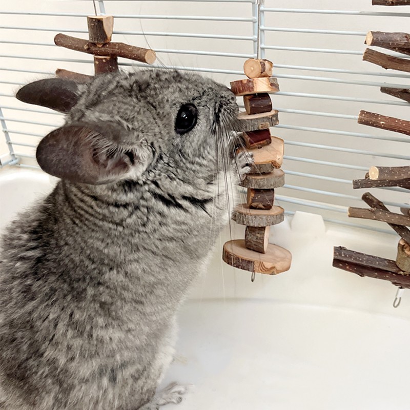 Hamster Rabbit Bite Wooden Molar Stick Apple Branch Bite String Totoro Guinea Pig Molar String Grass Ball Grass Cake Toy