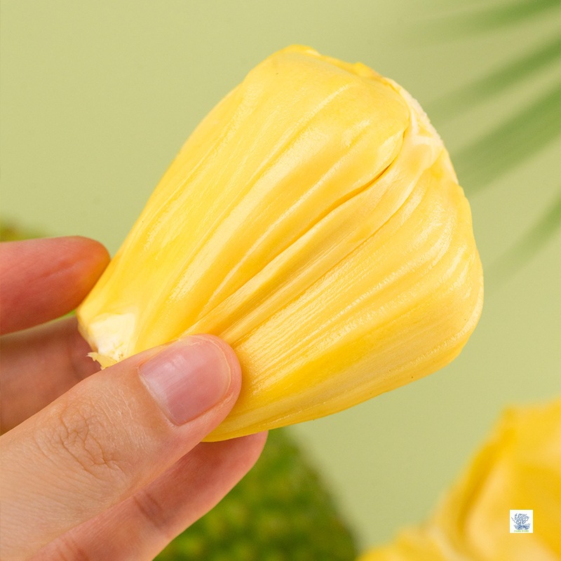 Hainan Jackfruit, Whole Dried Buds, Fresh Fruit, Yellow-Fleshed Jackfruit, Crispy and Sweet, Seasonal Whole Box, Free Shipping Specialty