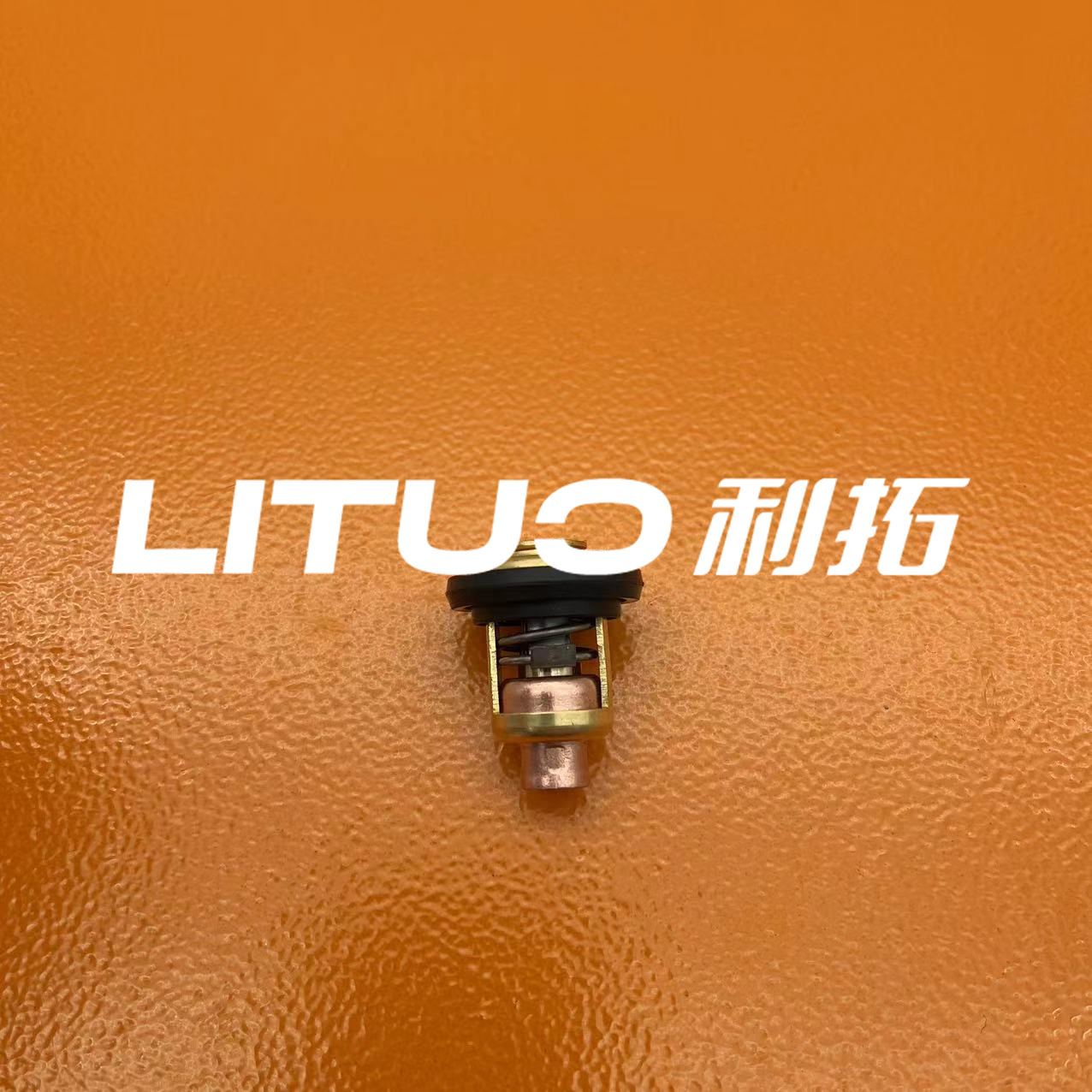 5005440 Thermostat Thermostat