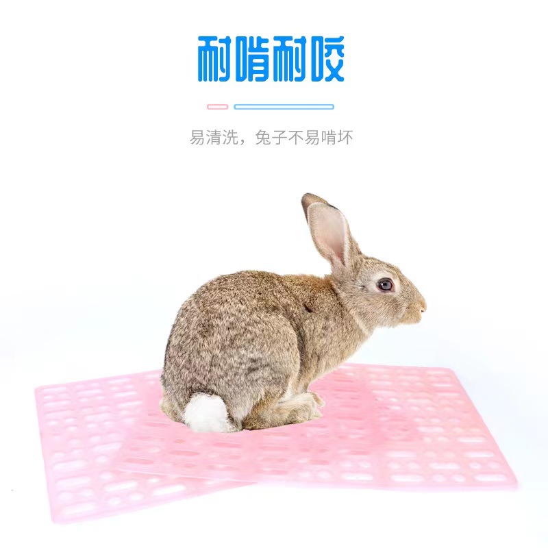 Cross-border explosions rabbit cage mat mat plastic mesh Dutch pig chinchilla guinea pig rabbit mat board