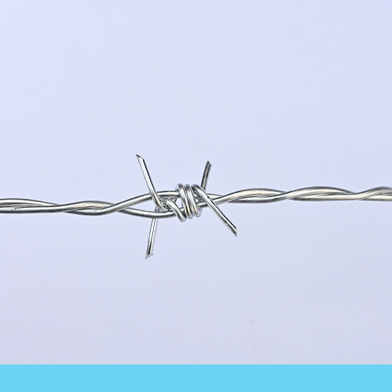 Manufacturer Supplies Double-Strand Barbed Wire Fence Anti-Theft Galvanized Barbed Wire Anti-Climb Iron Thorn Wire Barbed Wire Isolation Net