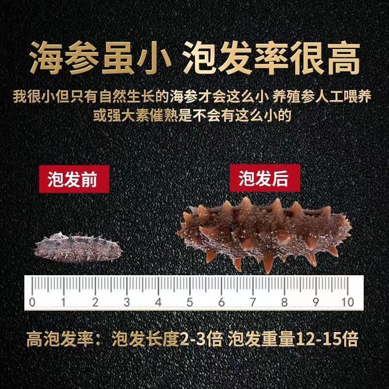 Factory Wholesale Light Dried Sea Cucumber, Fresh Sea Cucumber, Liao Sea Cucumber, High Thorn Sea Cucumber, Plump Flesh, Light Dried Small Sea Cucumber, Dry Goods