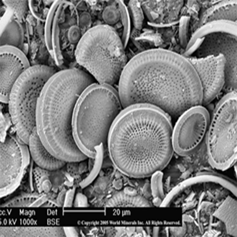 Supply of Diatomaceous Earth G40P Cd050, Ultra-Fine Grade for Coatings, Paint Diatomaceous Earth, Wholesale from Our Own Mines