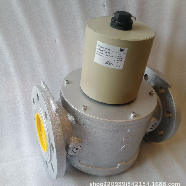 Shi Neng Gas Solenoid Valve Sg80Fq/220 Sg100Fq/220 Sg65F02Nt33 Sg80F02Nt33