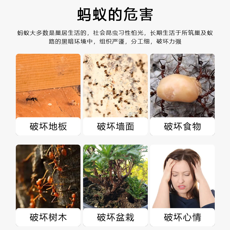 Ant Killer Spray for Home Use, Safe Indoor Ant Repellent, Mosquito and Fly Killer, Termite and Tick Killer, Red and Yellow Nemesis