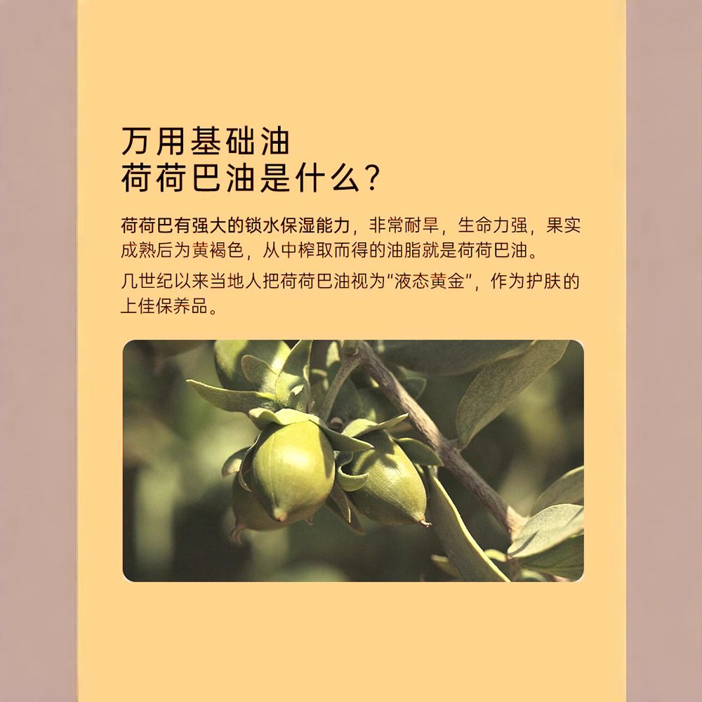 Jojoba Oil Base Oil Tightens Skin, Refreshes, Moisturizes, Removes Blackheads, Shrinks Pores, Jojoba Base Oil