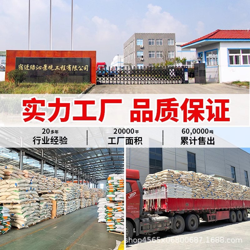 Manila Grass Seeds, Dwarf Drought-Resistant, Pruning-Free Slope Protection, Evergreen Courtyard Greening Lawn Turf Seeds for All Seasons