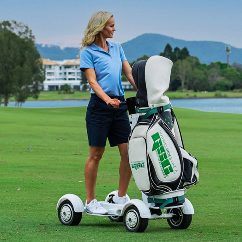 One-piece delivery golf cart double drive 48v10.4a high-power four-wheel off-road scooter with seats