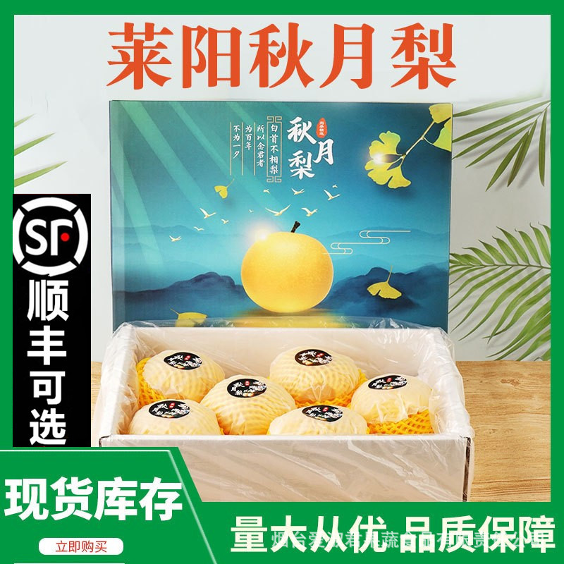 Оптовая продажа свежих груш Цююэ из Лайянга, 2.5кг, хрустящие, сладкие и сочные, сезонно собранные, целая коробка, груша с сахаром из Шаньдуня