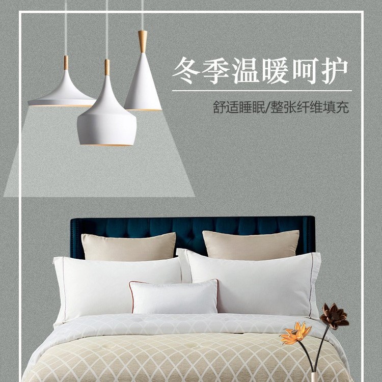 Xifeni (SOFTNIE) Yuan velvet warm core is XF-B2007 four seasons universal soft and skin-friendly