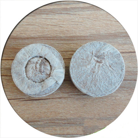 Special Offer High-Quality Seedling Block Compressed Nutrient Soil Can Be Used to Cuttings and Plants Can Sow Grass Flowers and Vegetables Coconut Bran Substrate Coconut Bricks