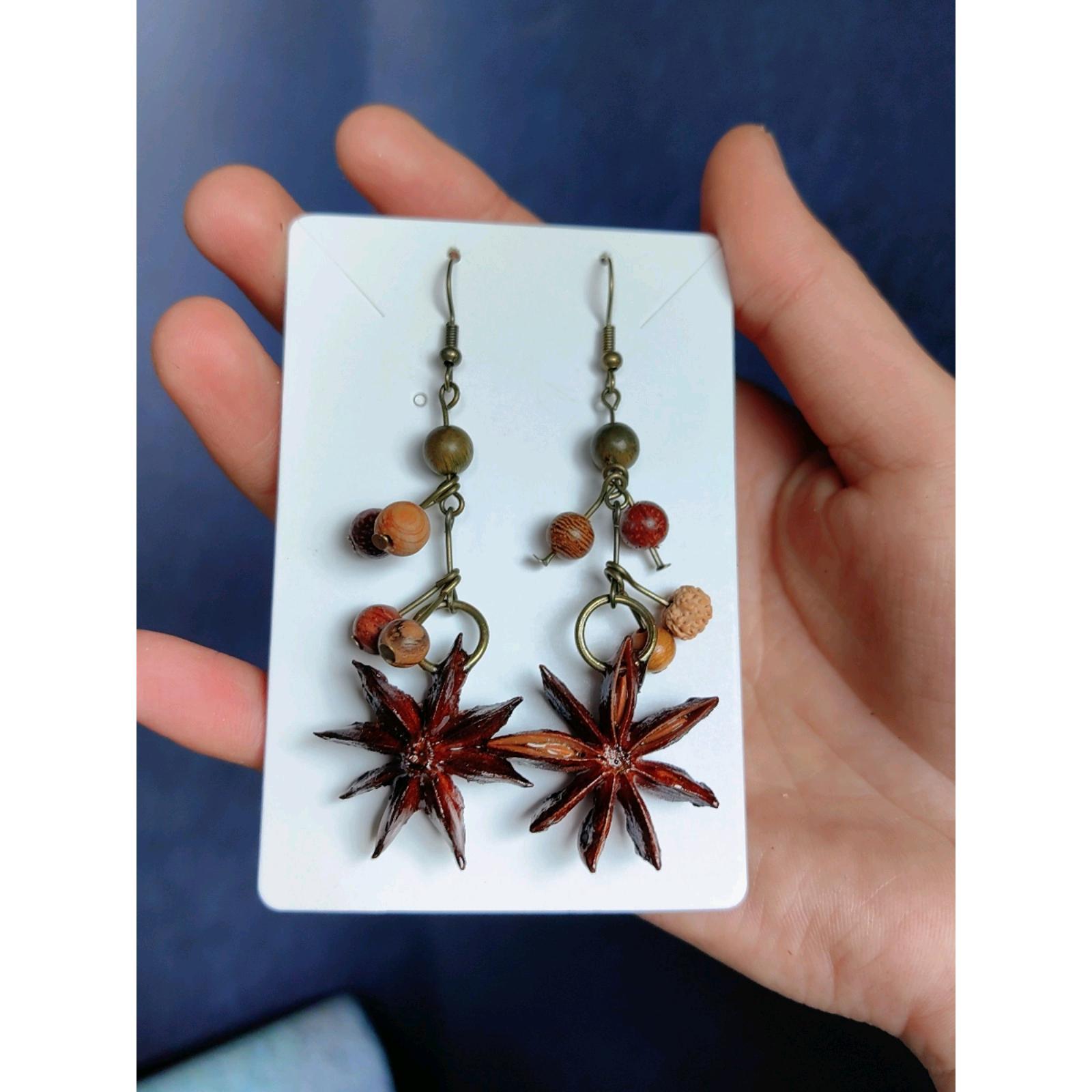in stock Plant Fruit Earrings Natural Dried Fruit Earrings Handmade Traditional Chinese Medicine Vintage Artistic Ethnic Style Earrings Ear Hook for Women