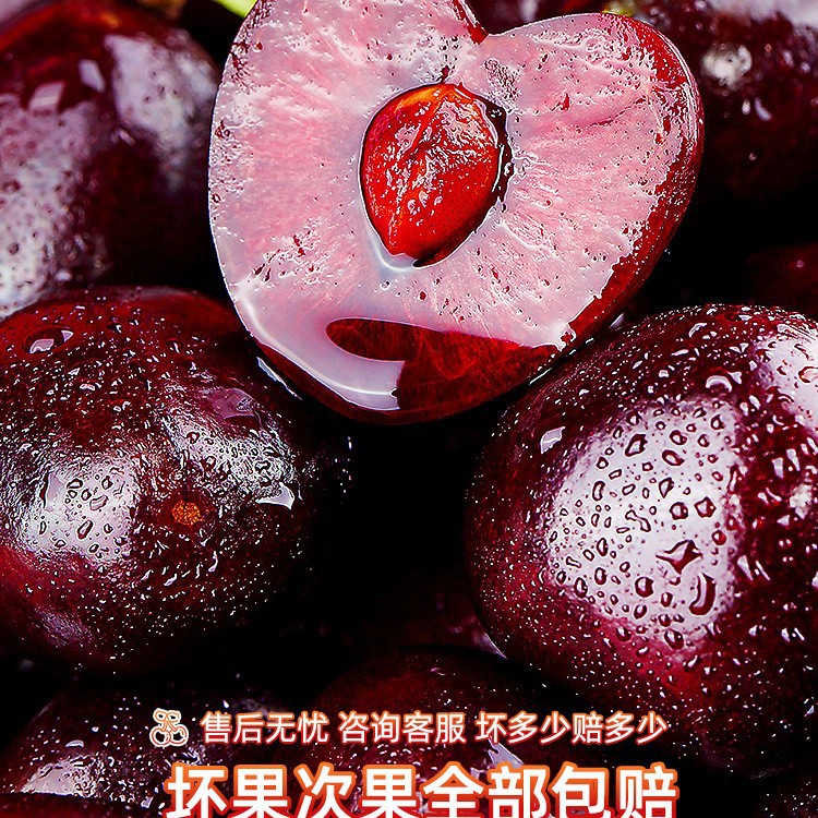 Chilean Cherries Fresh Fruit Seasonal Whole Box Free Shipping 2/3/ 2.5kg Maternity Gift Box Imported J3J4J5 Cherries 2