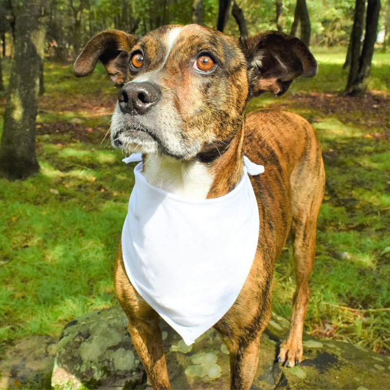 Новая белая салфетка для собак, креативный треугольный шарф, оптовая продажа