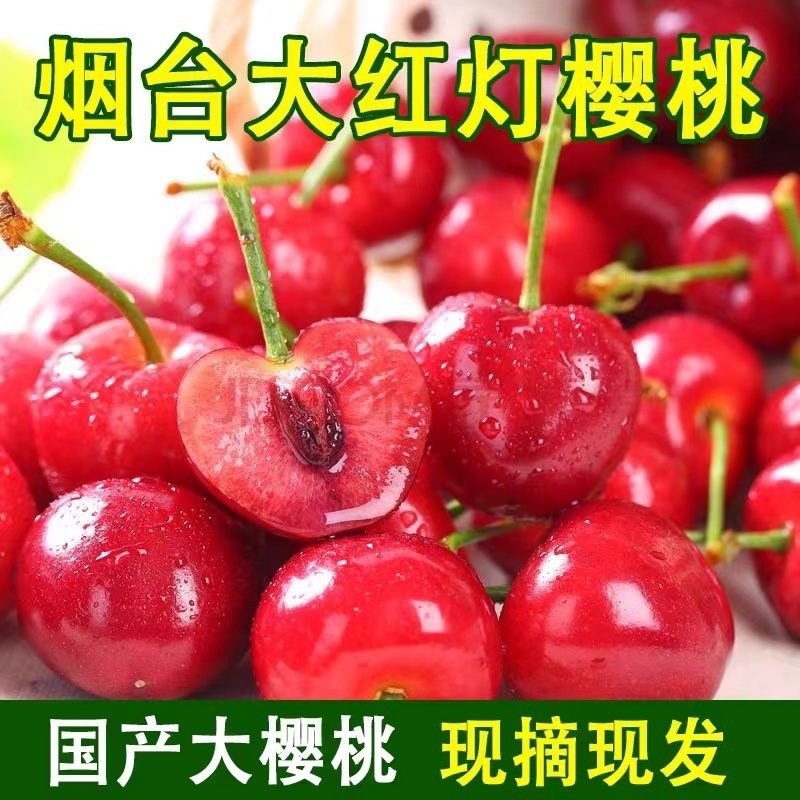 Fresh Cherries Free Shipping 2.5kg Gift Box Seasonal Whole Box Imported Large Cherries for Pregnant Women 4Jjjj in Stock