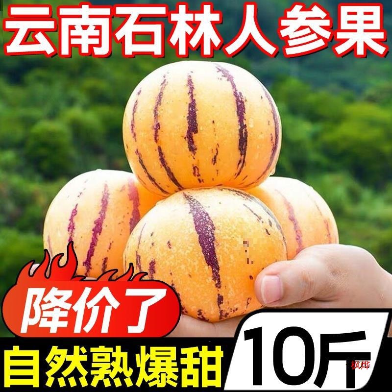 Yunnan Shilin Ginseng Fruit 5kg Fresh Fruit Doll Yellow Flesh Heart Fruit Life Fruit Round Fruit Seasonal Whole Production
