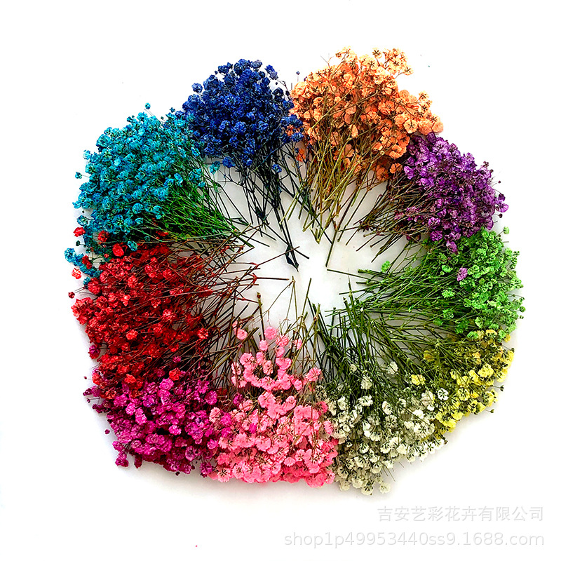 Gypsophila Dried Flower Embossed Wholesale DIY Photo Frame Glue Bookmark Embossed Flower Decoration with Branch Side Embossed Dried Flower Specimen